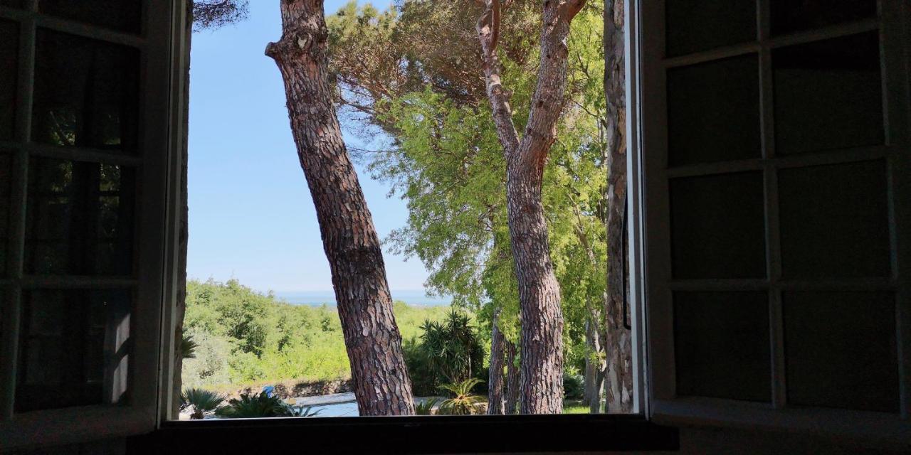 Mas Senyarich Villa Argelès-sur-Mer Exteriör bild